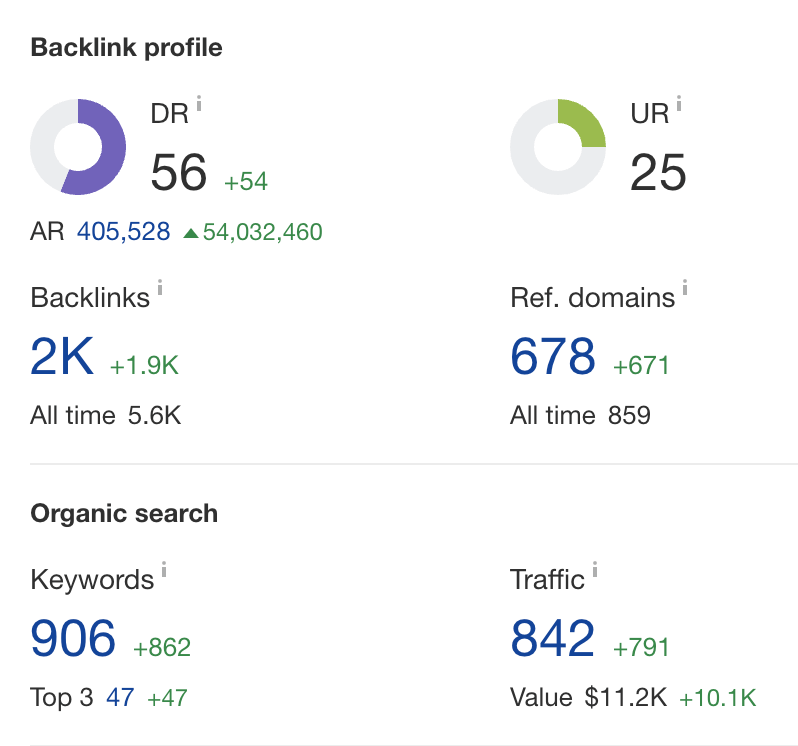 seo for rei